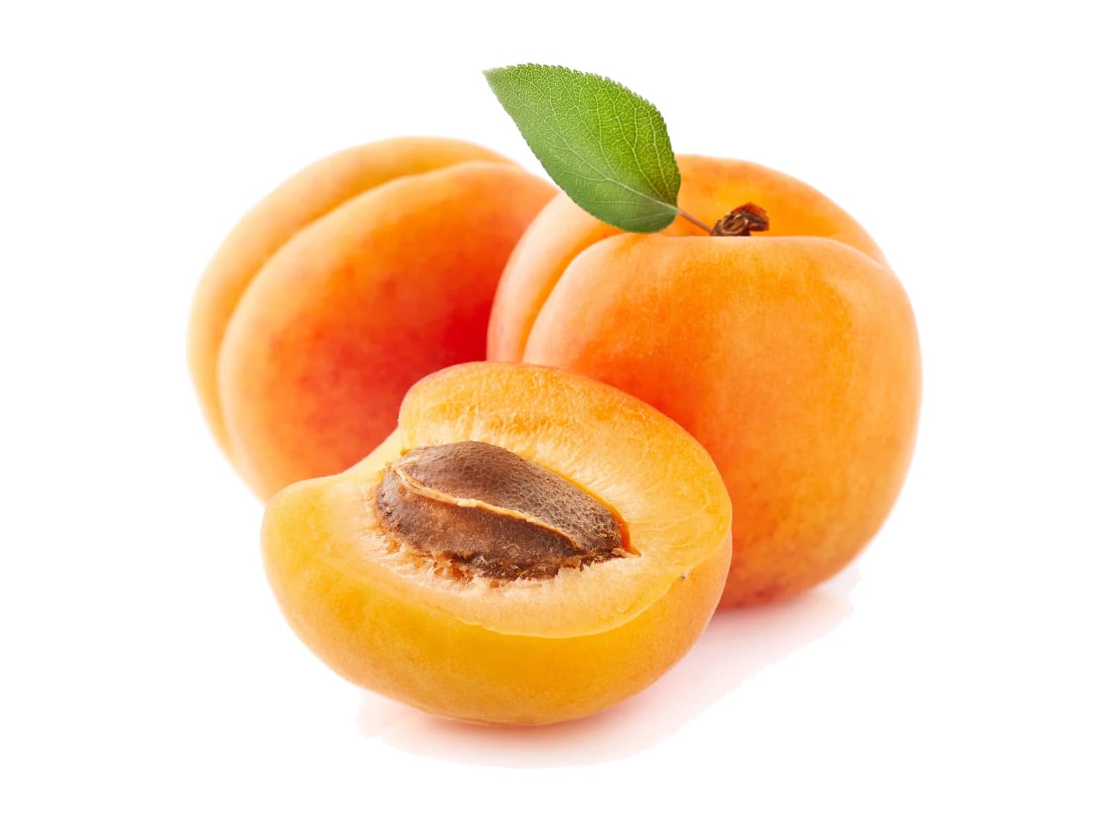 Apricot