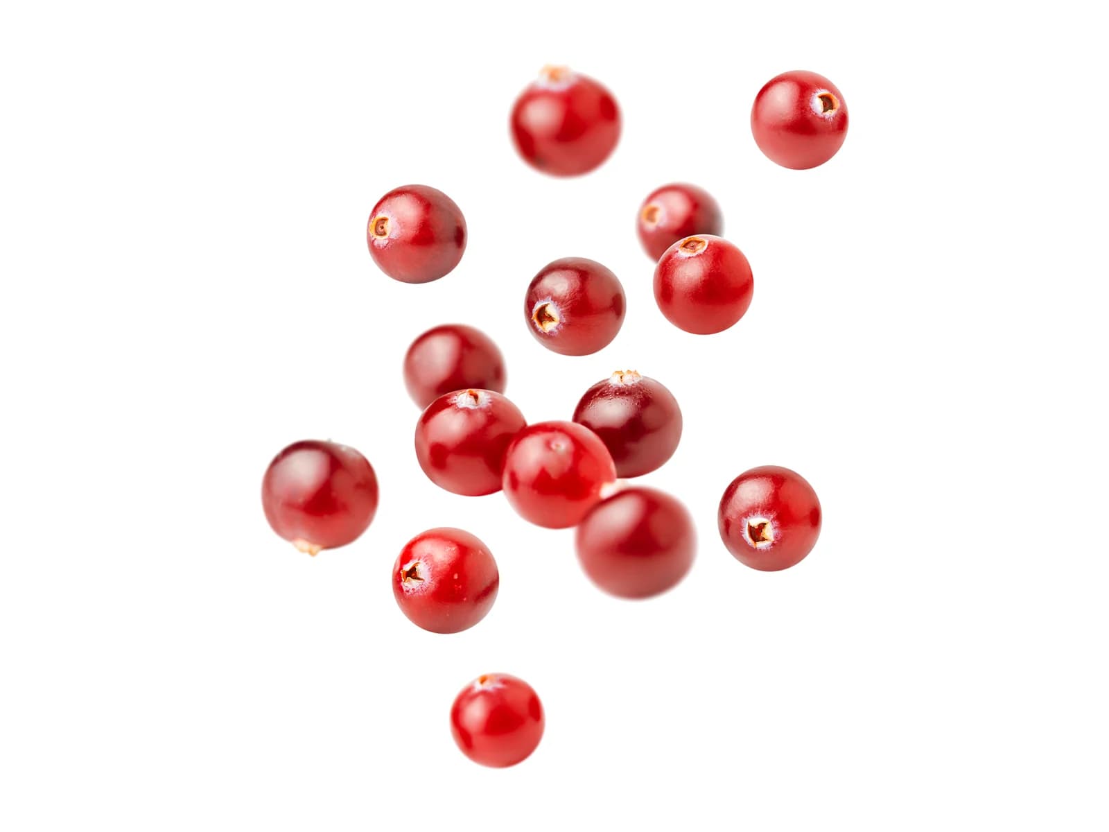 Cranberry