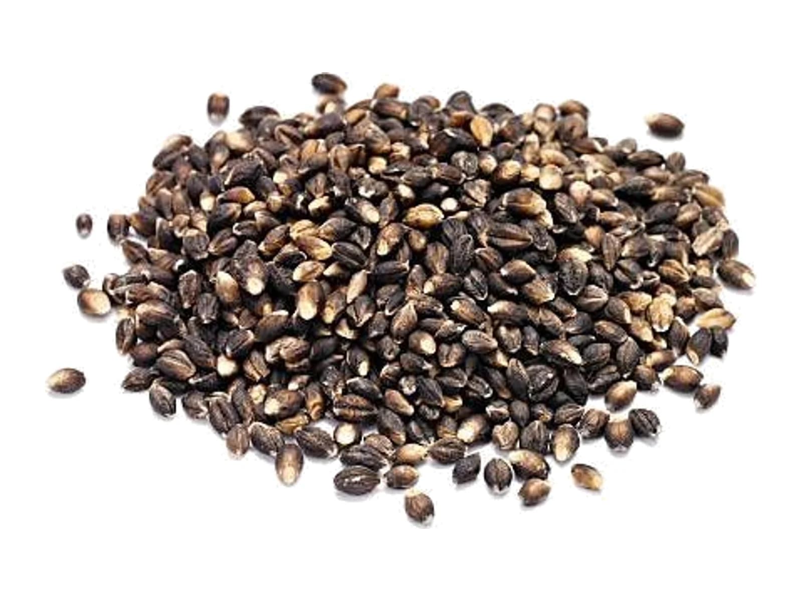 Black Barley