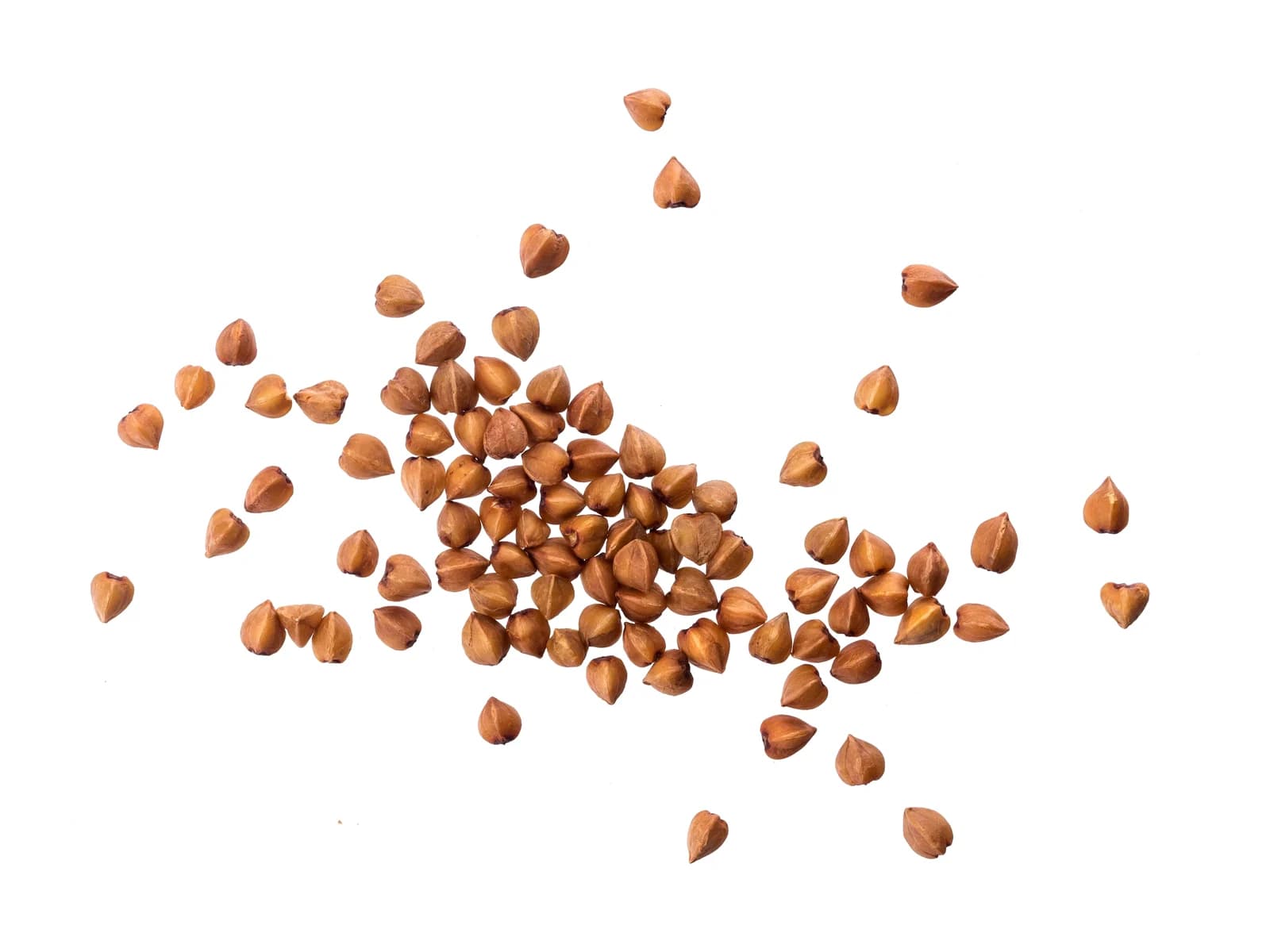 Buckwheat