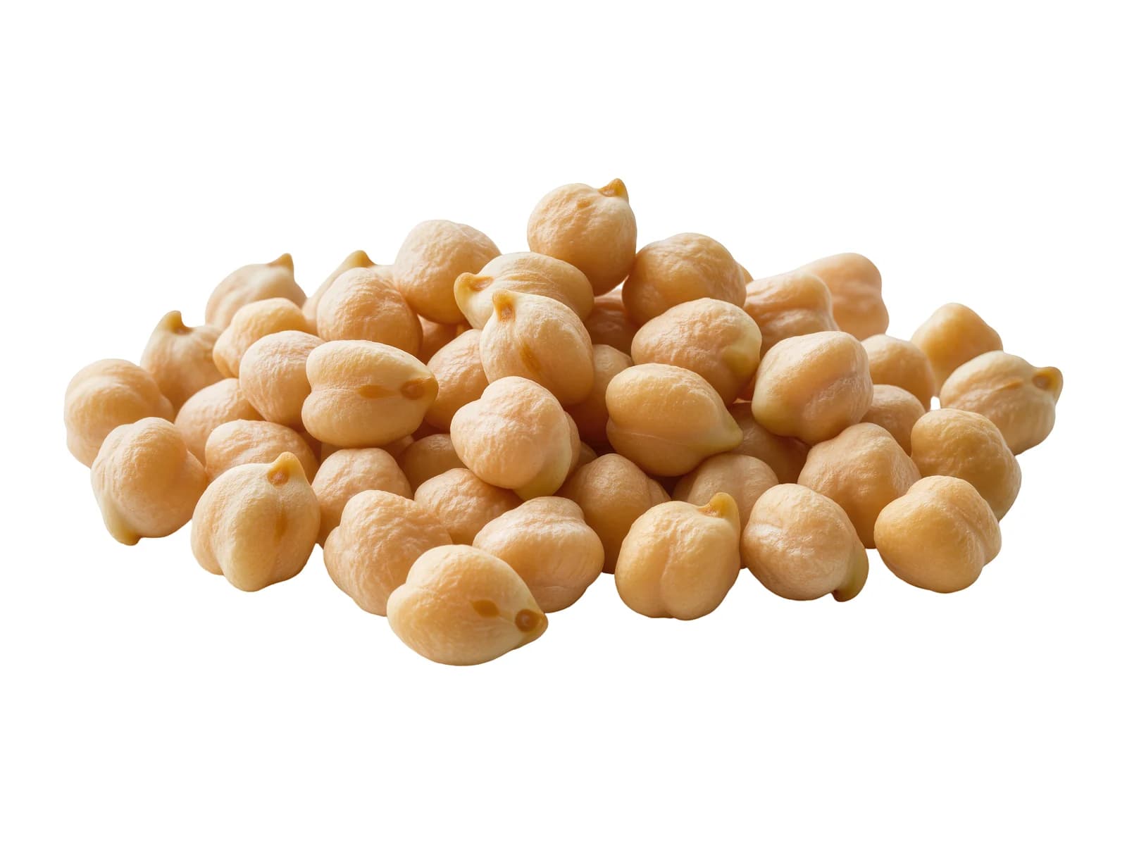 Garbanzo Beans