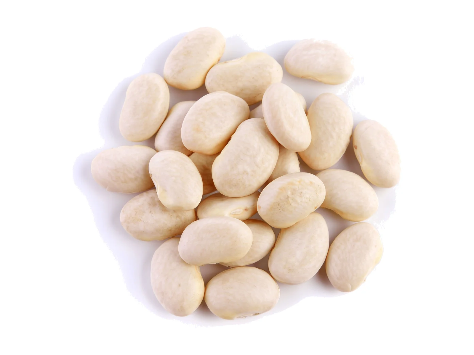 Great Northern Beans