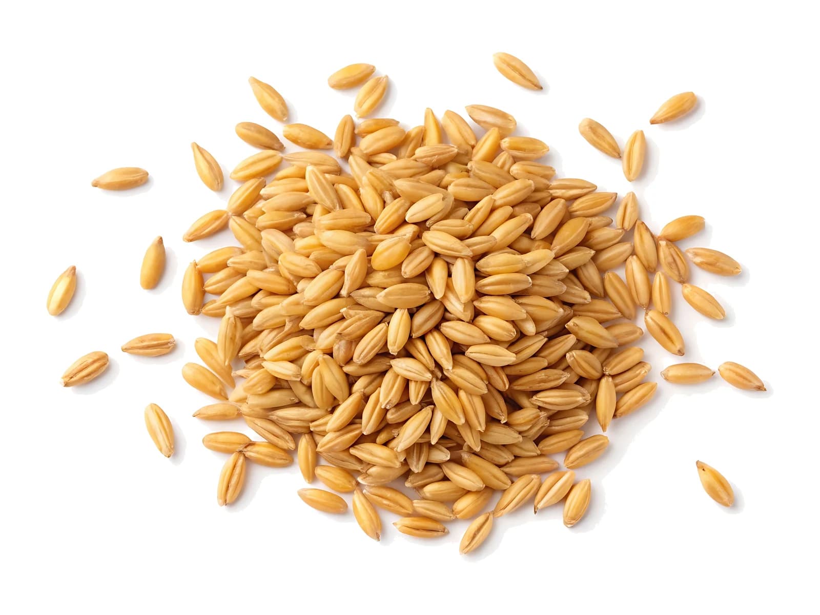 Kamut Brand Wheat