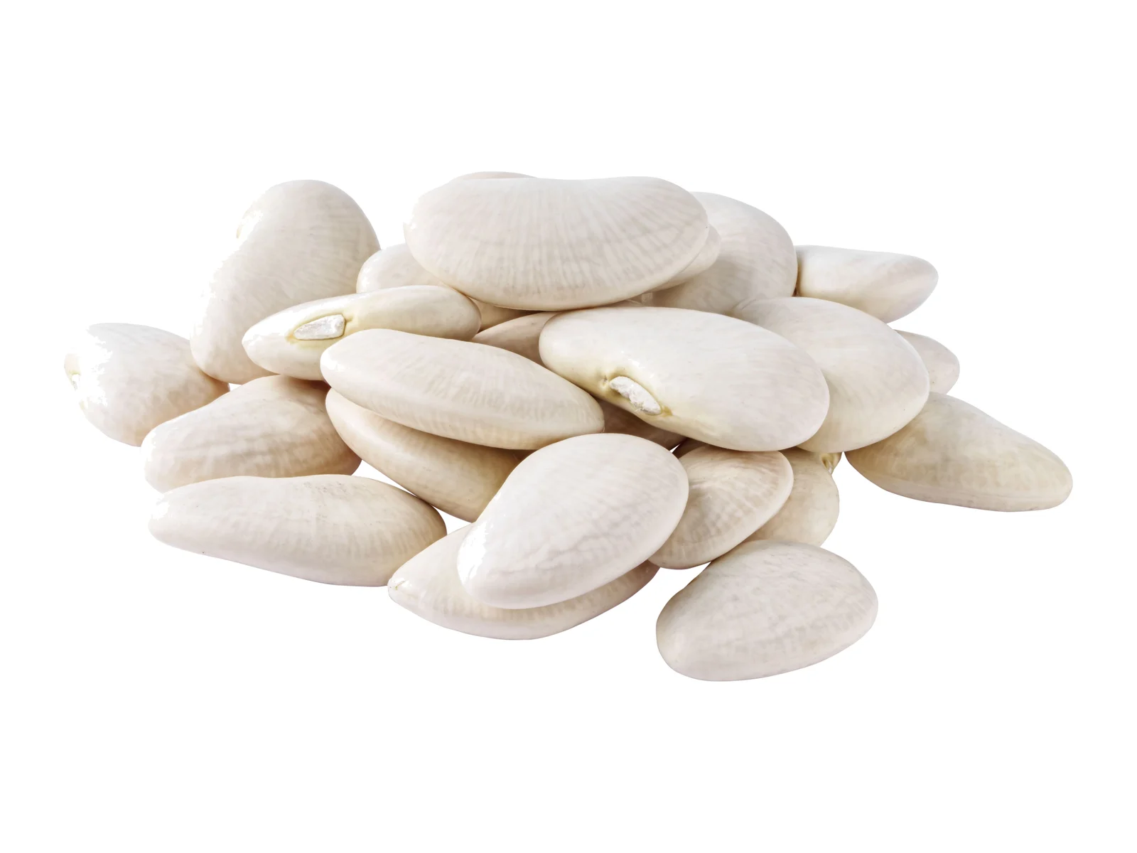 Large White Lima Beans