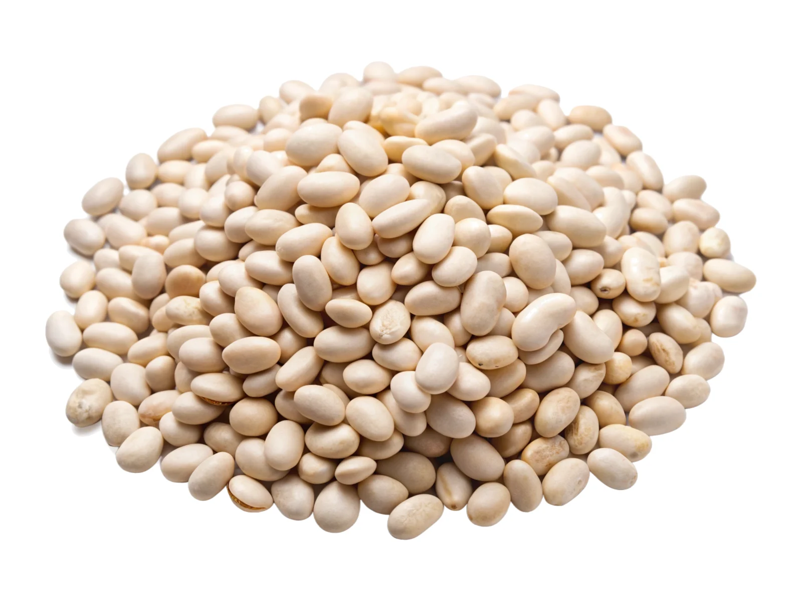 Navy Beans