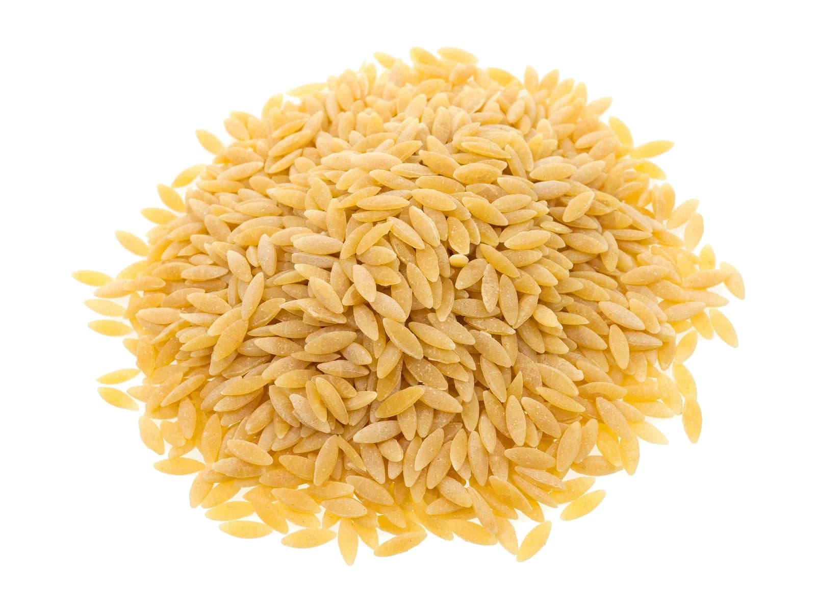 Orzo