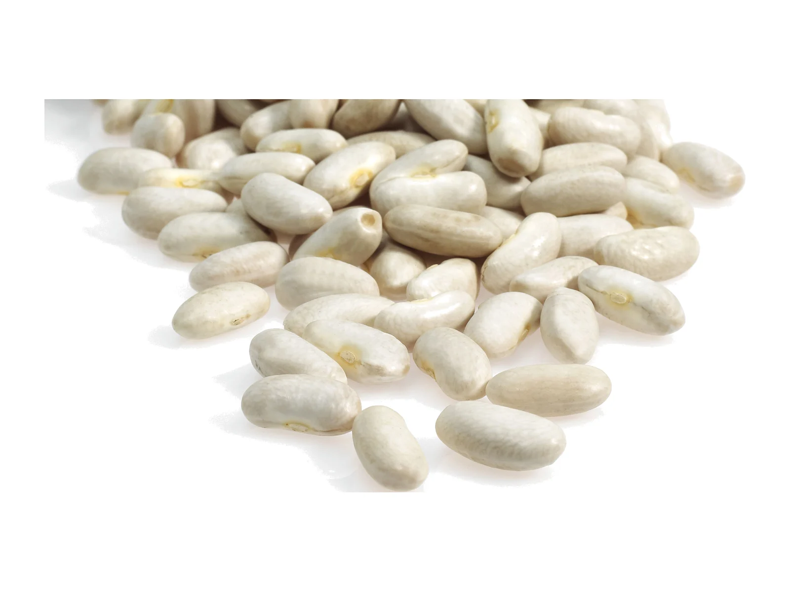 White Kidney Beans