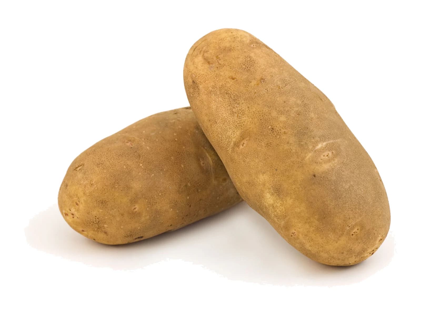 Russet Potato