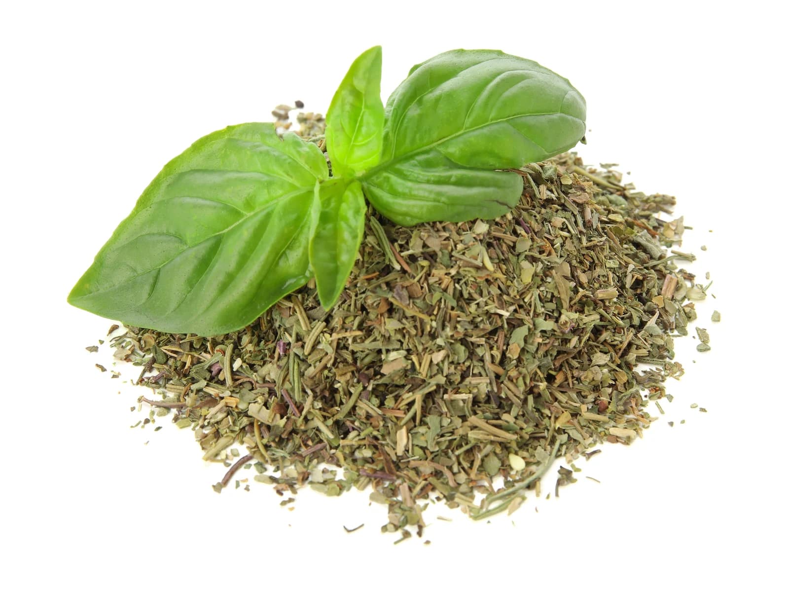 Basil Leaves