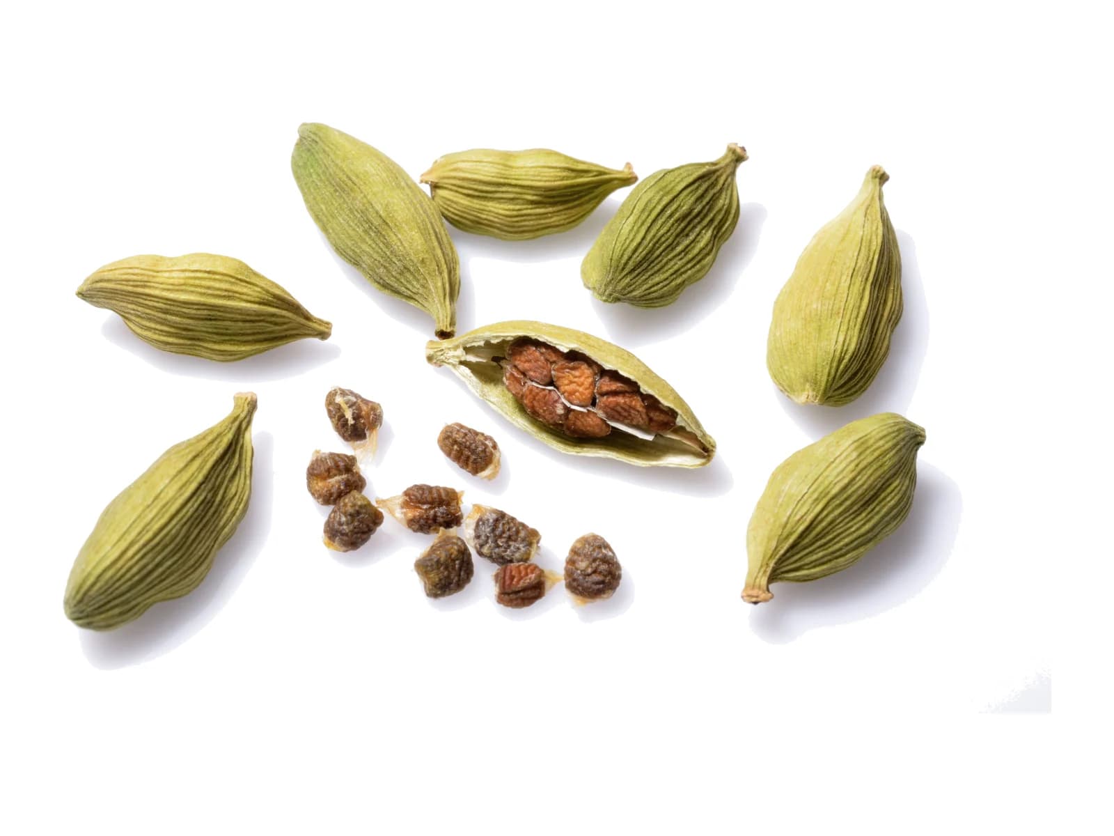 Cardamom