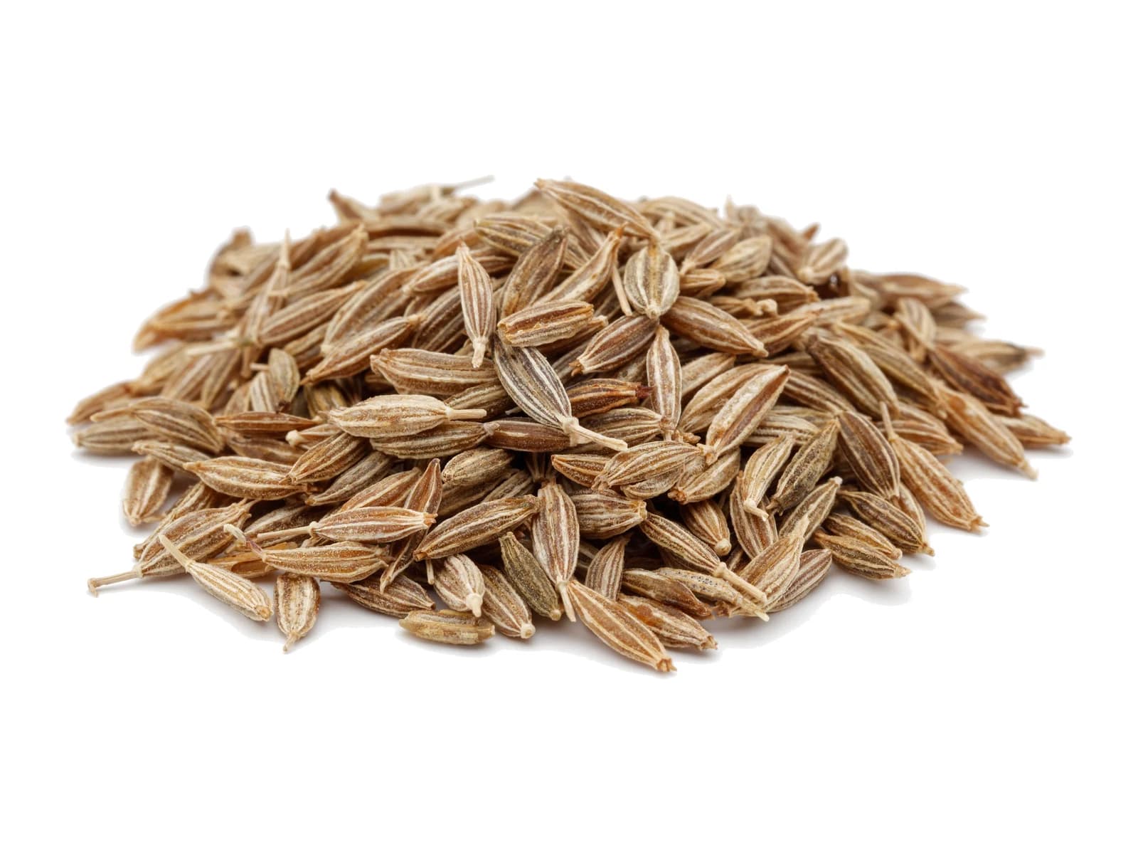 Cumin Seed