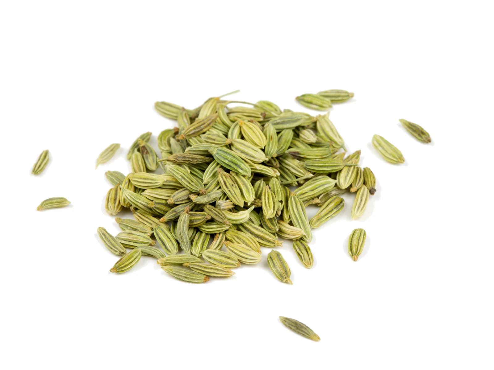 Fennel