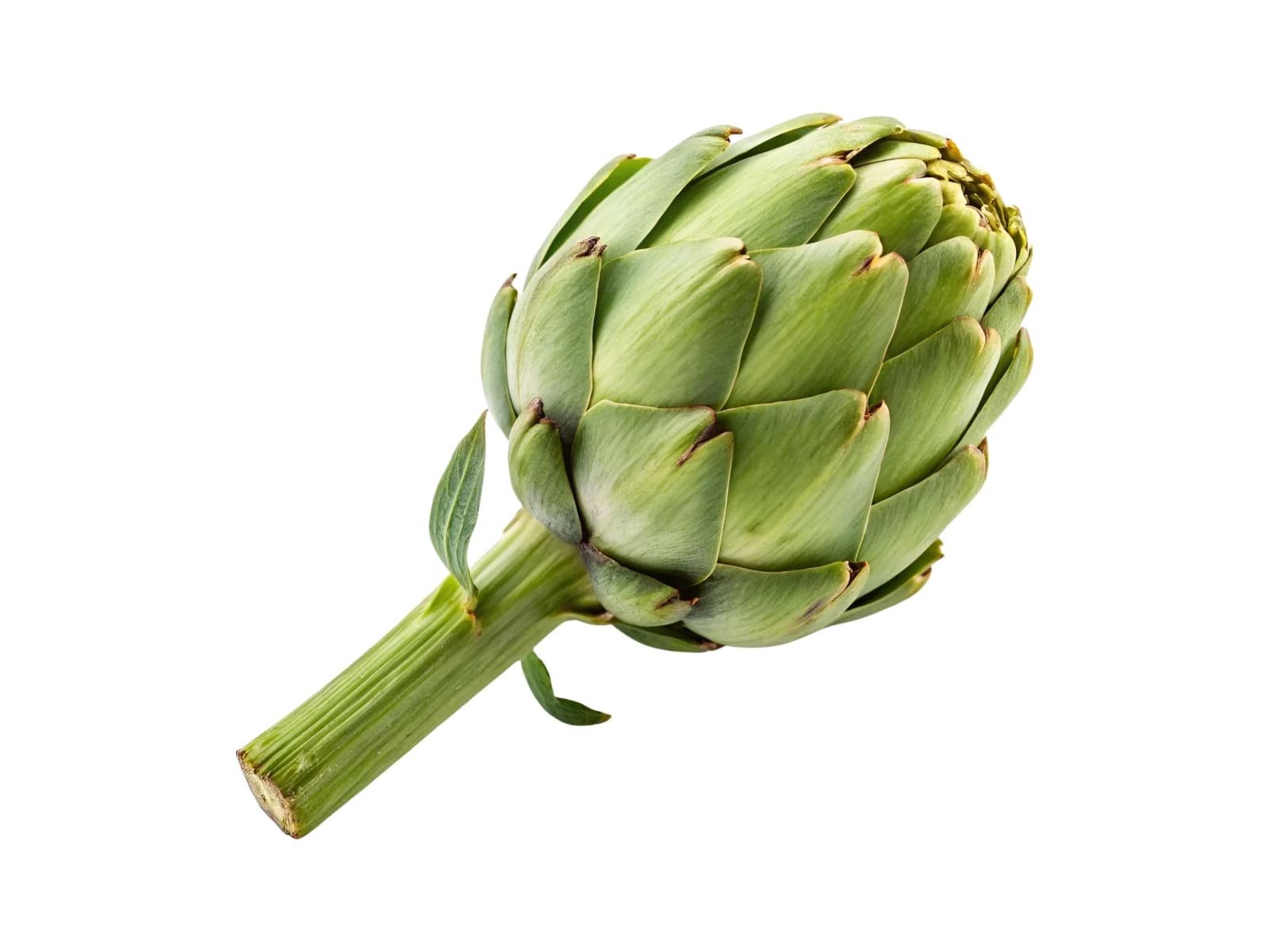 Artichokes