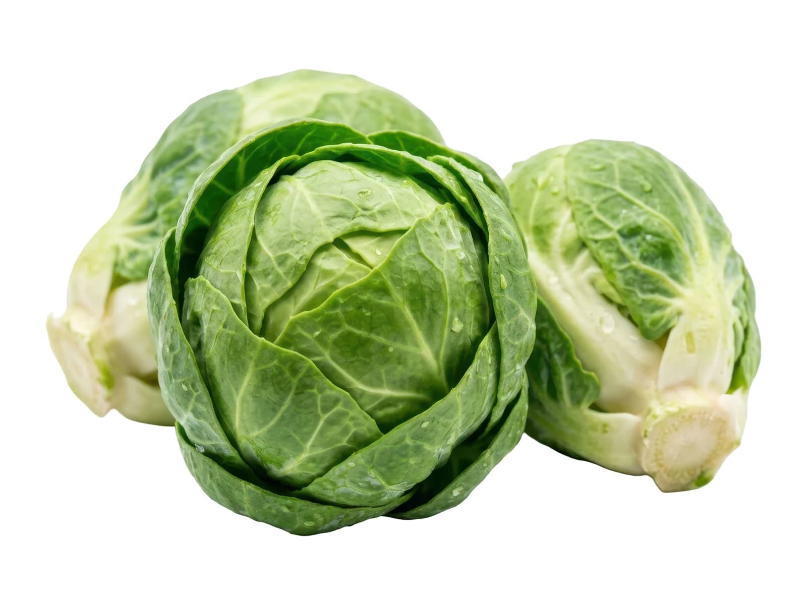Brussels Sprouts