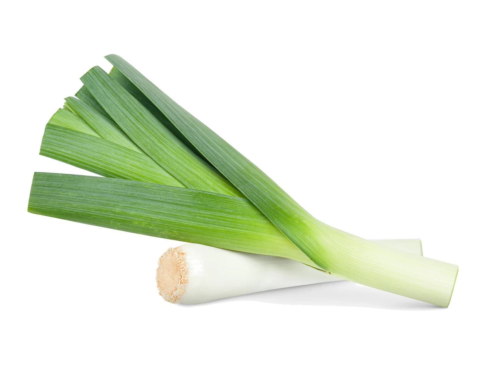 Leek