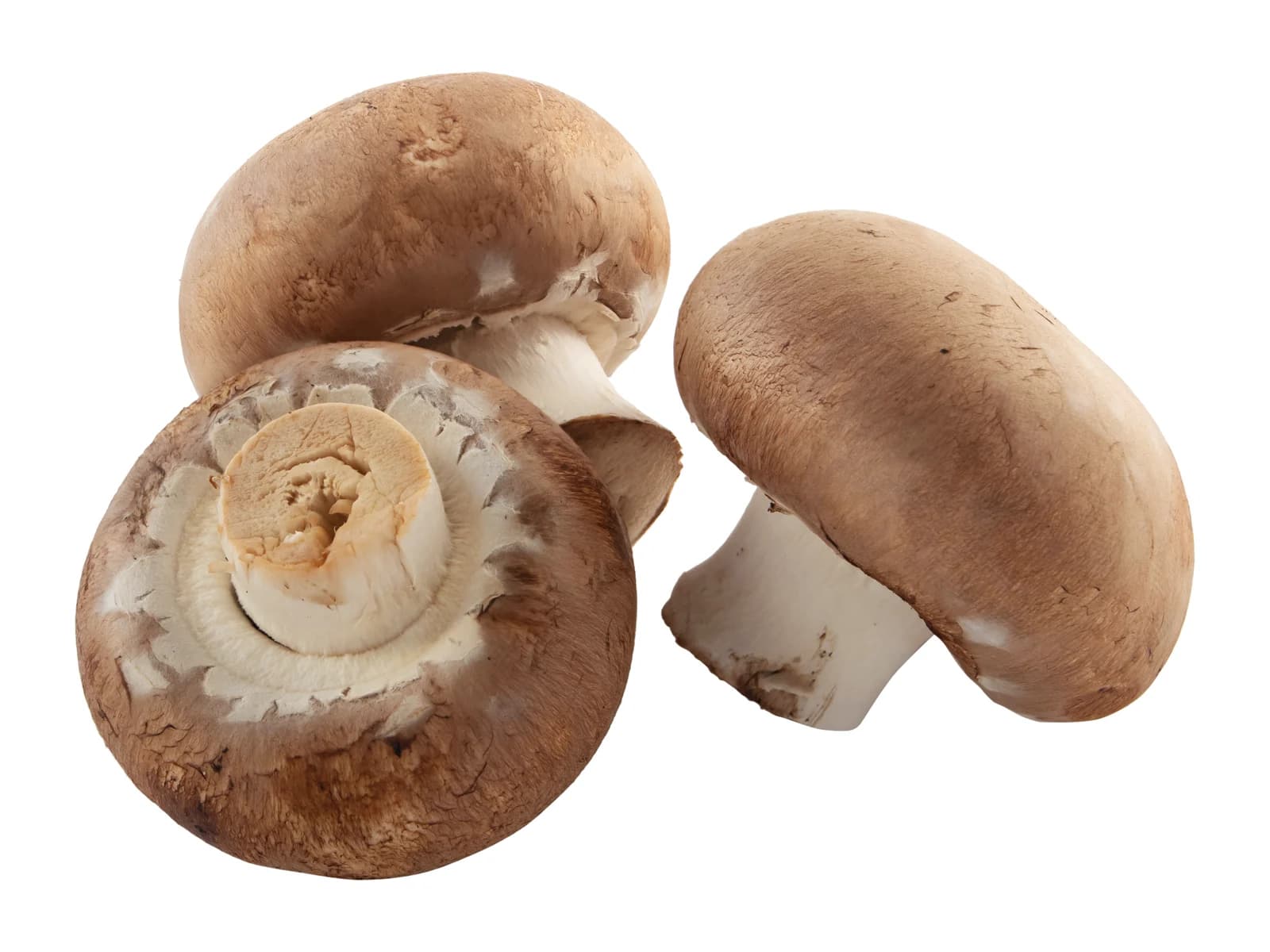 Mushrooms