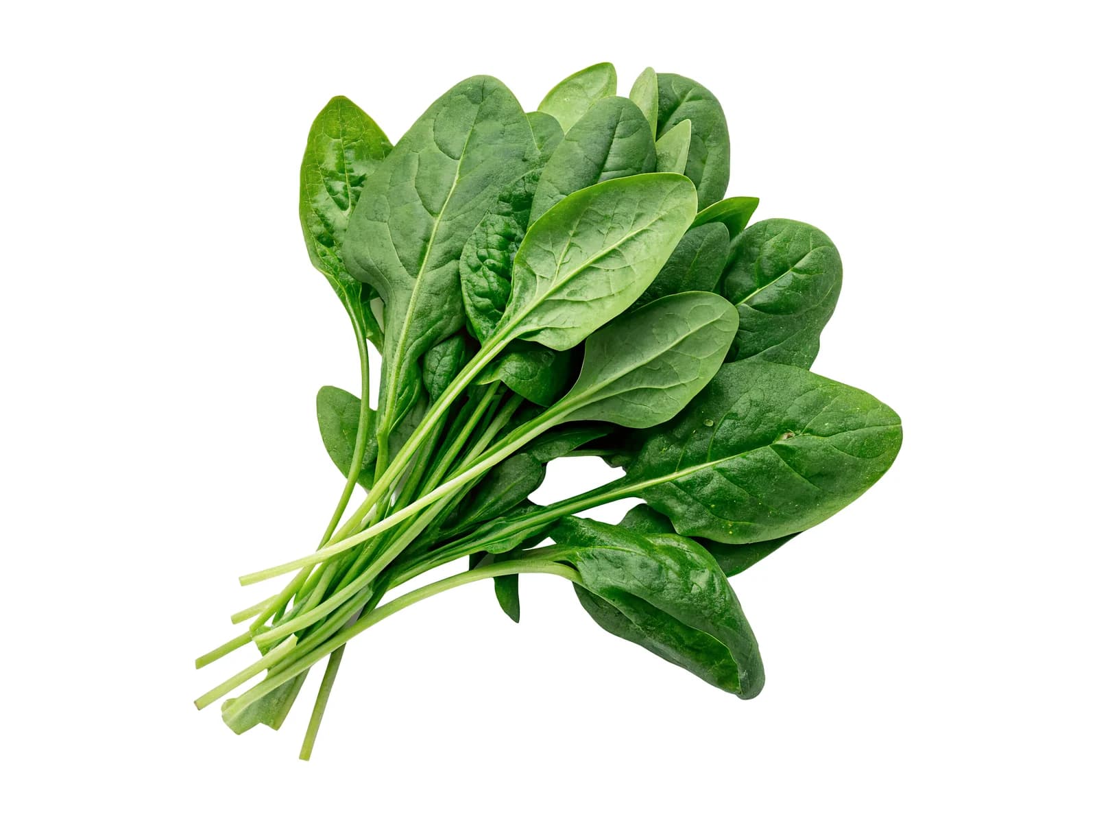 Spinach