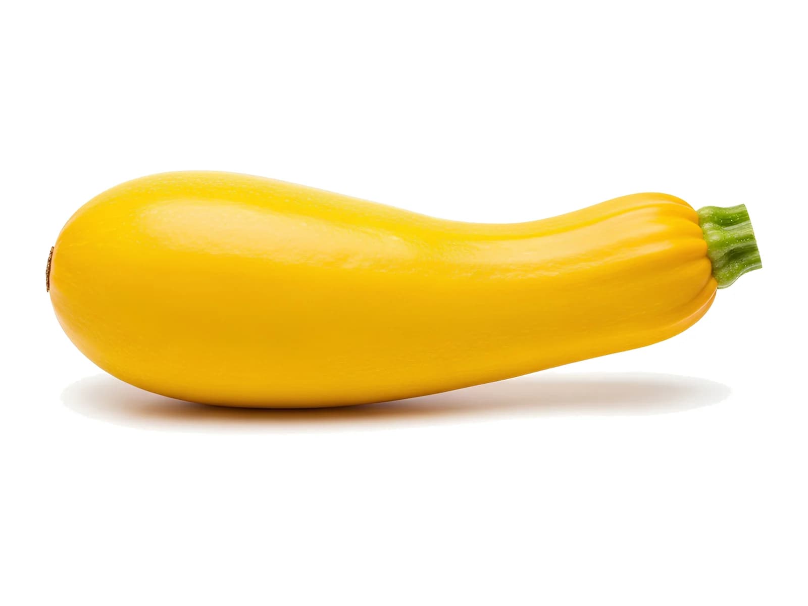Yellow Squash