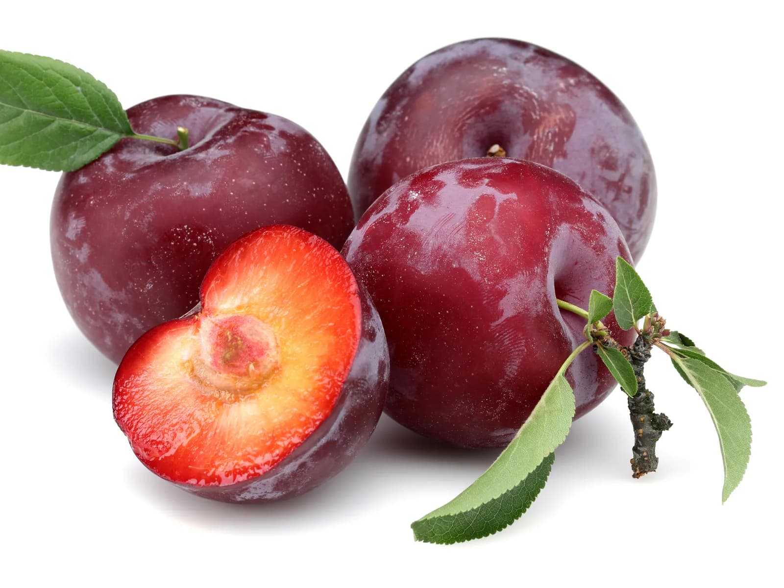 The Plum Group Foods team
